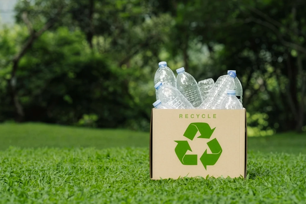 Sticle in cutie reciclar