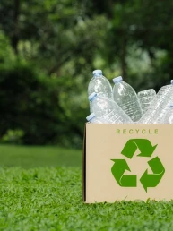 Sticle in cutie reciclar