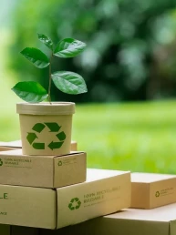 Imagine care ilustreaza cutii reciclate, pe o pajiste